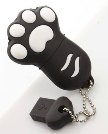 Paw pendrive